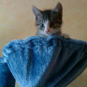 Da schaut er raus aus seiner Hängematte =)