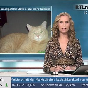 ^^ ich bin gemein, ich weiß ^^