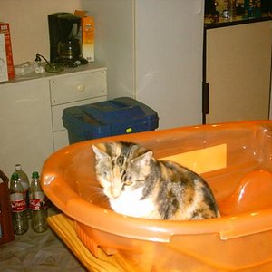 Und da sitzt Pünktchen in der Baby Badewanne