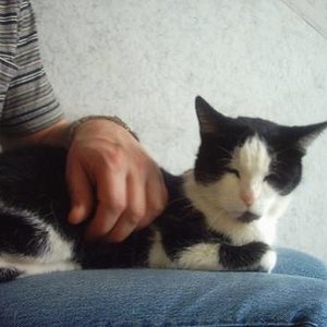 Luci kurz nach ihrem Einzug bei uns
(*)4.5.1994 - (+)25.02.2008