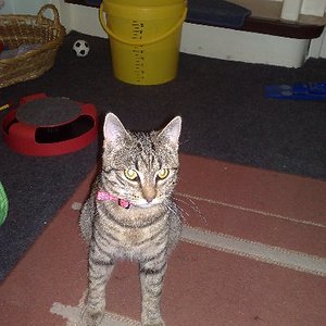 So groß ist mein kleines Bärchen geworden! (7 Monate alt)