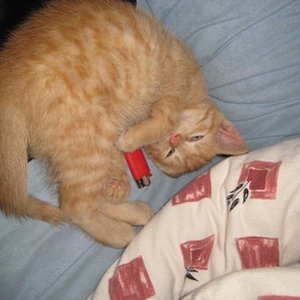 ....lass mich doch einmal mit dem Feuerzeug spielen....das macht grad son Spaß