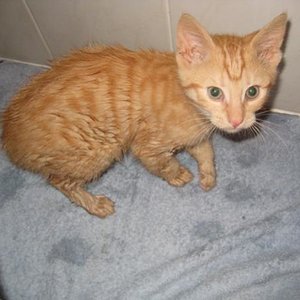 was guckst du???Ich war mit Papa baden...