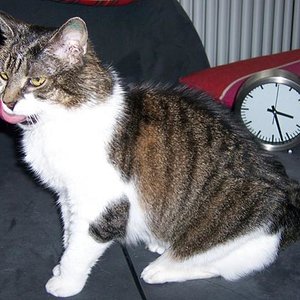 Püdi nach dem Essen