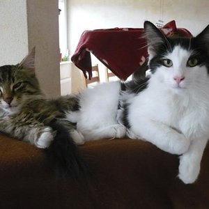 Emporio und Falco....erste Annäherung