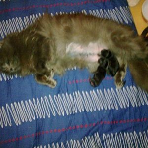 a7hk9xzb8rrcvuc93h2ai482mw5