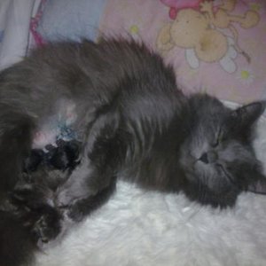 ksaptgsn9199gzgf97g8s1n0yie