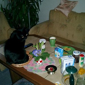 Brotkorb - wer sagt denn das