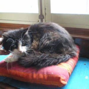 big 8589975 0 320 240