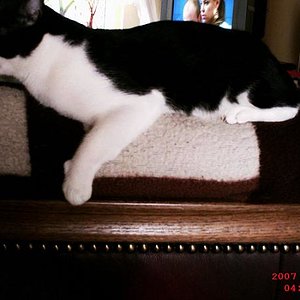 "Ich pass auf meine kleinen auf!"

-> Von hier aus hat man alles im Blick! <-