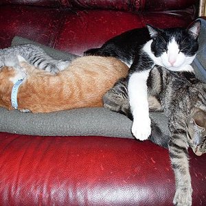 Vosicht fall nicht runter

-> Ständig muss man auf die kleinen aufpassen...
nicht mal schlafen kann man hier in Ruhe! <-