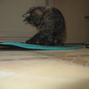 mit dem Lieblingsspielzeug