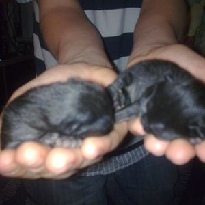 eine woche und zwei tage alt 124g