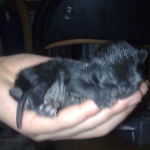 kd1eyyd7u07p0vdtfv2xrr7z5lu