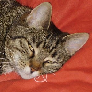 schlafen schöööön!!!