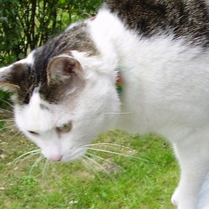 Wartet nur gleich bin ich unten!