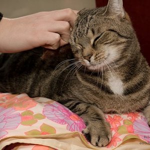 Bitte auch hinter dem Ohr kraulen!