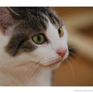 Ich denke, also bin ich ...