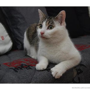 Wann gibt's endlich was zu fressen ?!