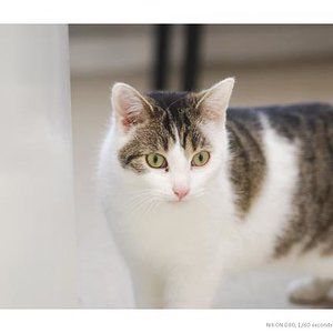 Hmmm - der Innenarchitekt wird GEFEUERT! Jepp!