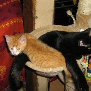 Hauptsache zusammen kuscheln, egal wie eng das sein könnt