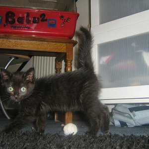 Lucy noch ganz klein