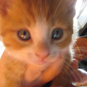 Socke noch ganz klein