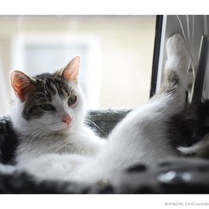 Ich muß auch mal relaxen