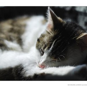 Sw33t Dr3ams, Madame!