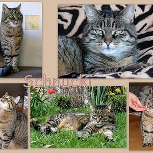 Schnucki, leider nicht mehr da :o(