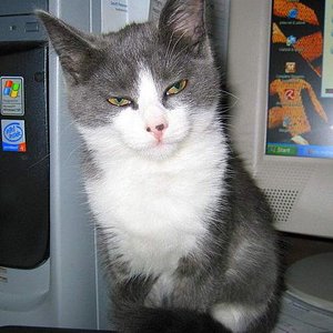 Lissi am PC knapp 1 Jahr alt