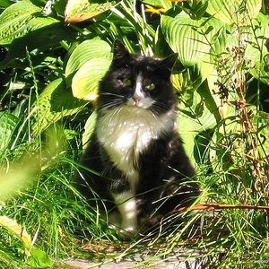 Mutter von Lissi in meinem Garten