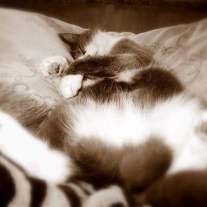 *boaa* bin ich alle!