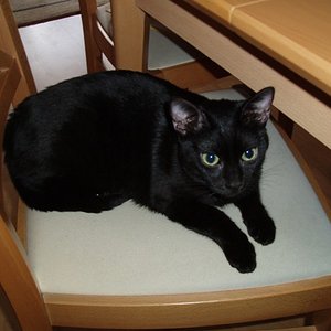 Dreizehn's Lieblingsplatz II