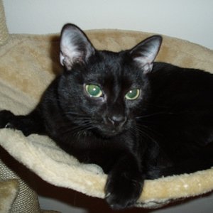 Dreizehn's Lieblingsplatz