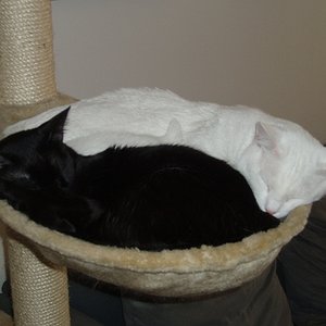 Dreizehn teilt ihren Lieblingsplatz mit Holli