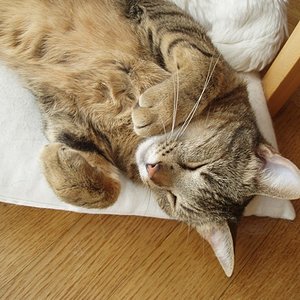 Spider mag's gemütlich :o)