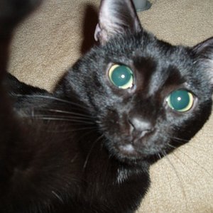 Können diese Augen lügen ????