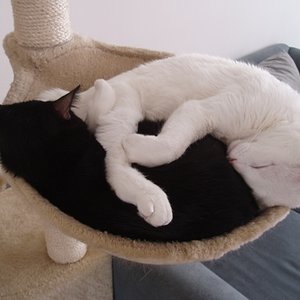 Mal wieder schlummern