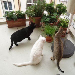 Ausflug ins Grüne :o)