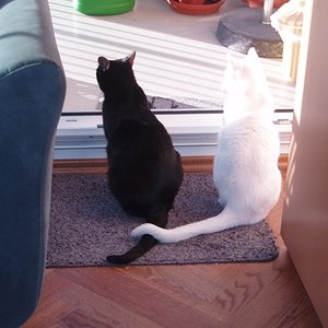 Holli & Dreizehn in trauter Zweisamkeit