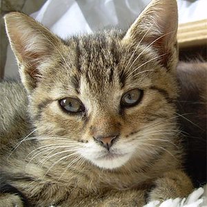 Da war er noch ein kleiner Teufelsbraten ;-)