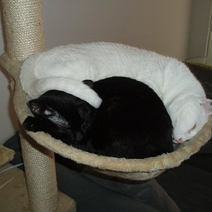 Mal wieder 'ne Runde abhängen