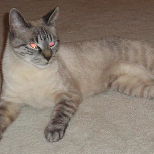 Ja nochmal Smores.verblitzte Augen leider, die sind normal stahlblau. lol