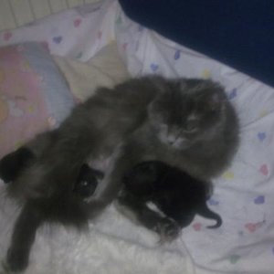 mr4c4vtlz8uvoaeui2d3ybtcvyy