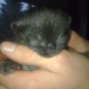 jetzt sind sie 17 Tage alt