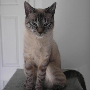 Noch nicht ganz wach