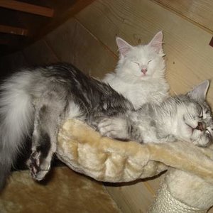 Tja, der Lieblings-Platz wird langsam etwas eng für zwei...