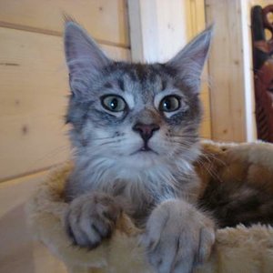 "Was? Gibts Fressen??!??!!!!"