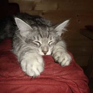 Gähhhn, war das ein anstrengender Tag..."